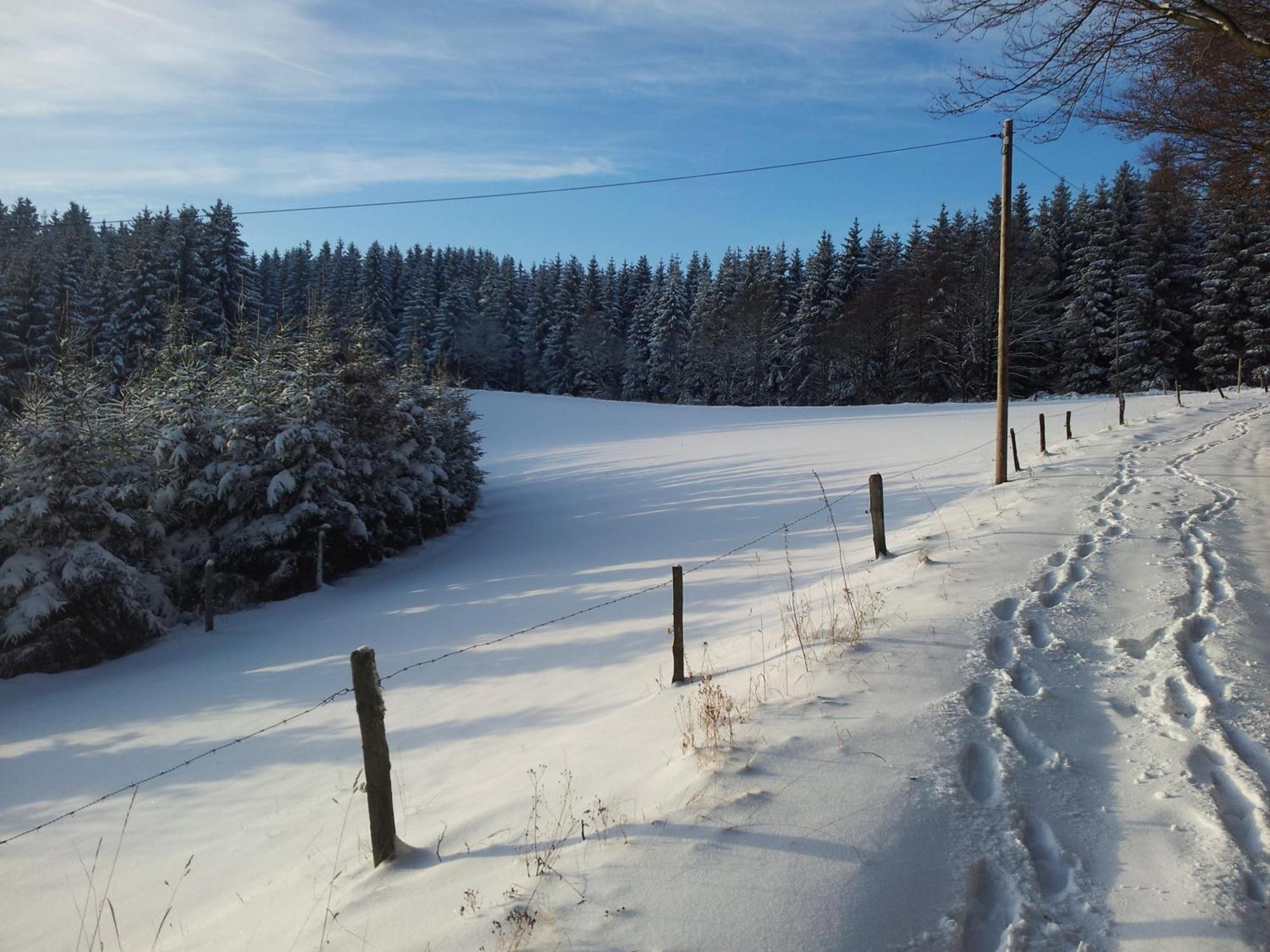 Nordenau Landgasthof Nesselbach מראה חיצוני תמונה