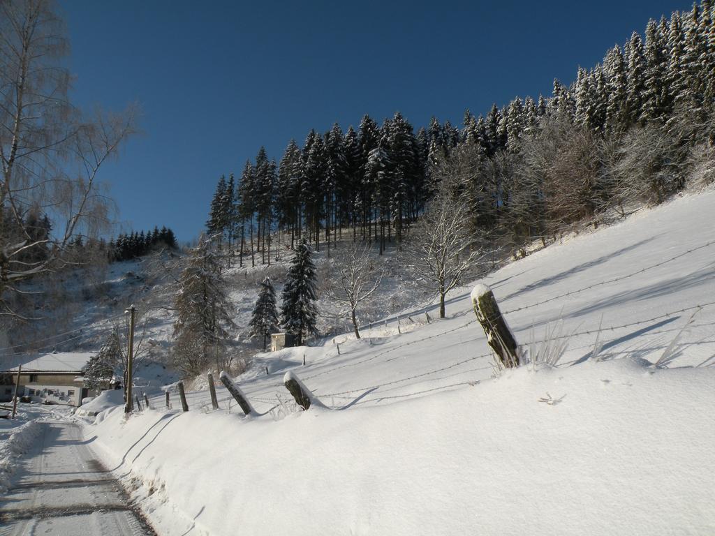Nordenau Landgasthof Nesselbach מראה חיצוני תמונה